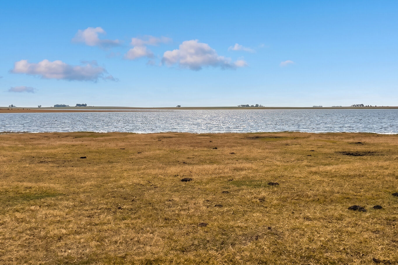 Campo en Salto — imagen 12