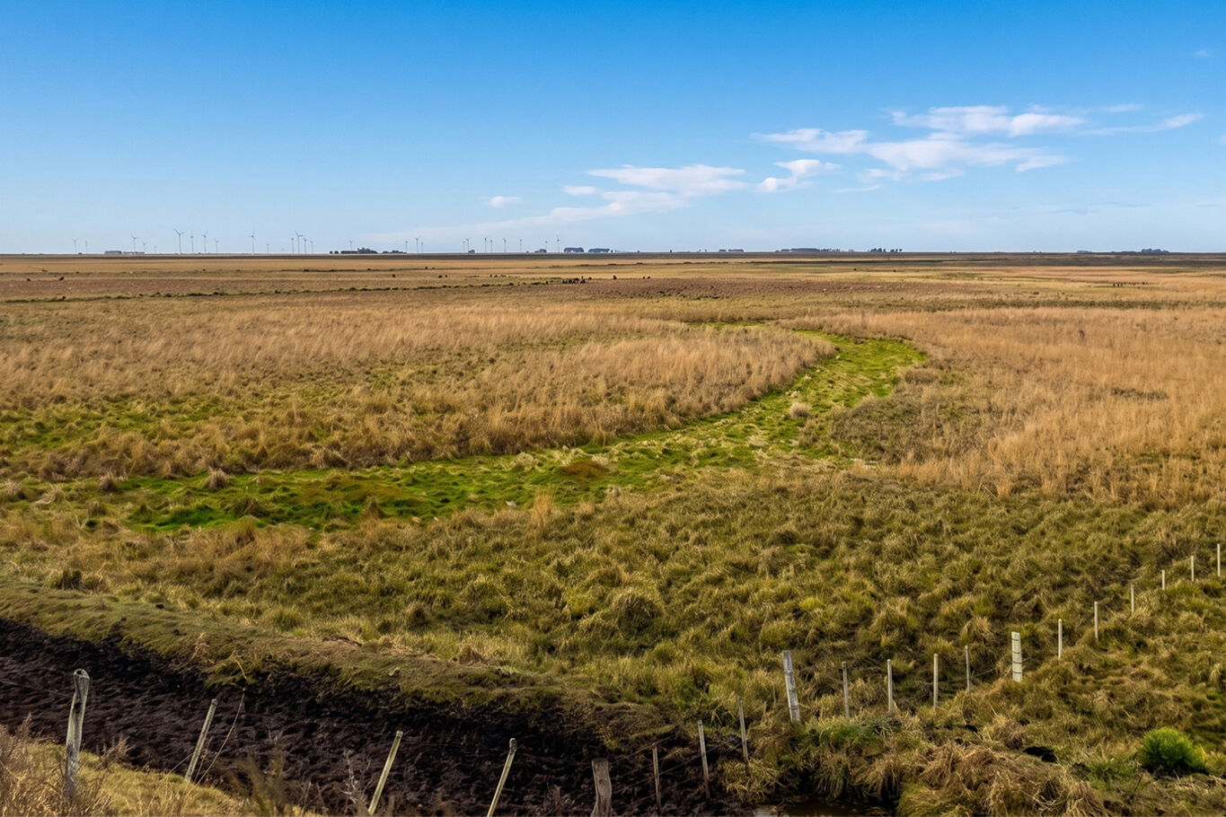 Campo en Salto — imagen 13