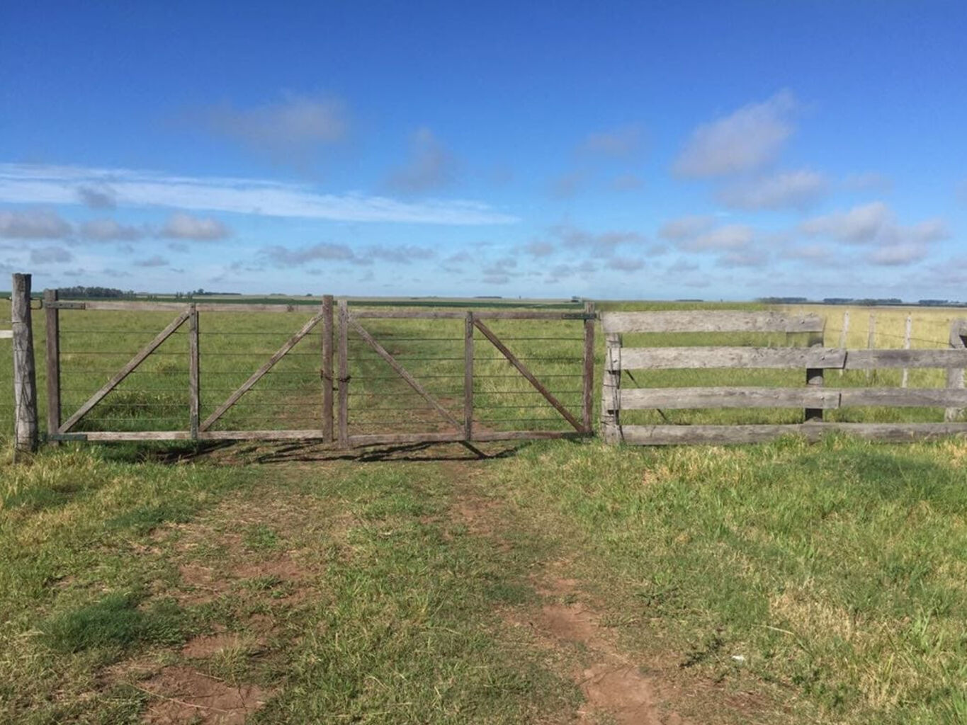 Campo en Salto — imagen 4