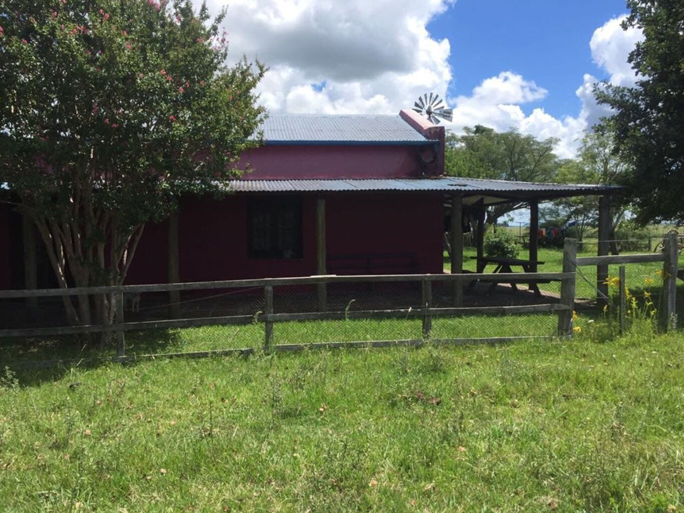 Campo en Salto — imagen 5