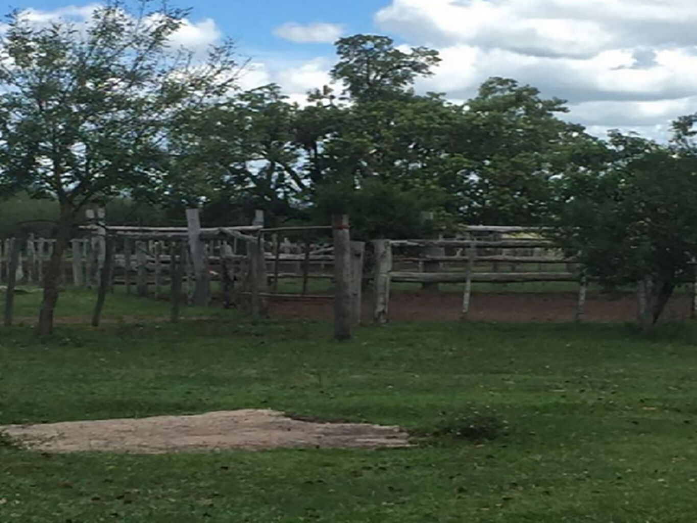 Campo en Salto — imagen 10