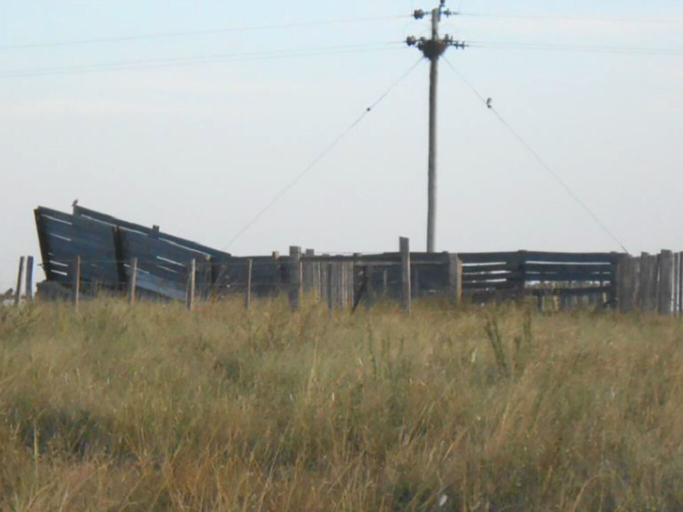 Campo en Salto — imagen 12