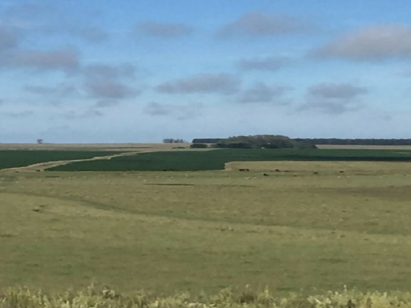 Campo en Salto — imagen 13