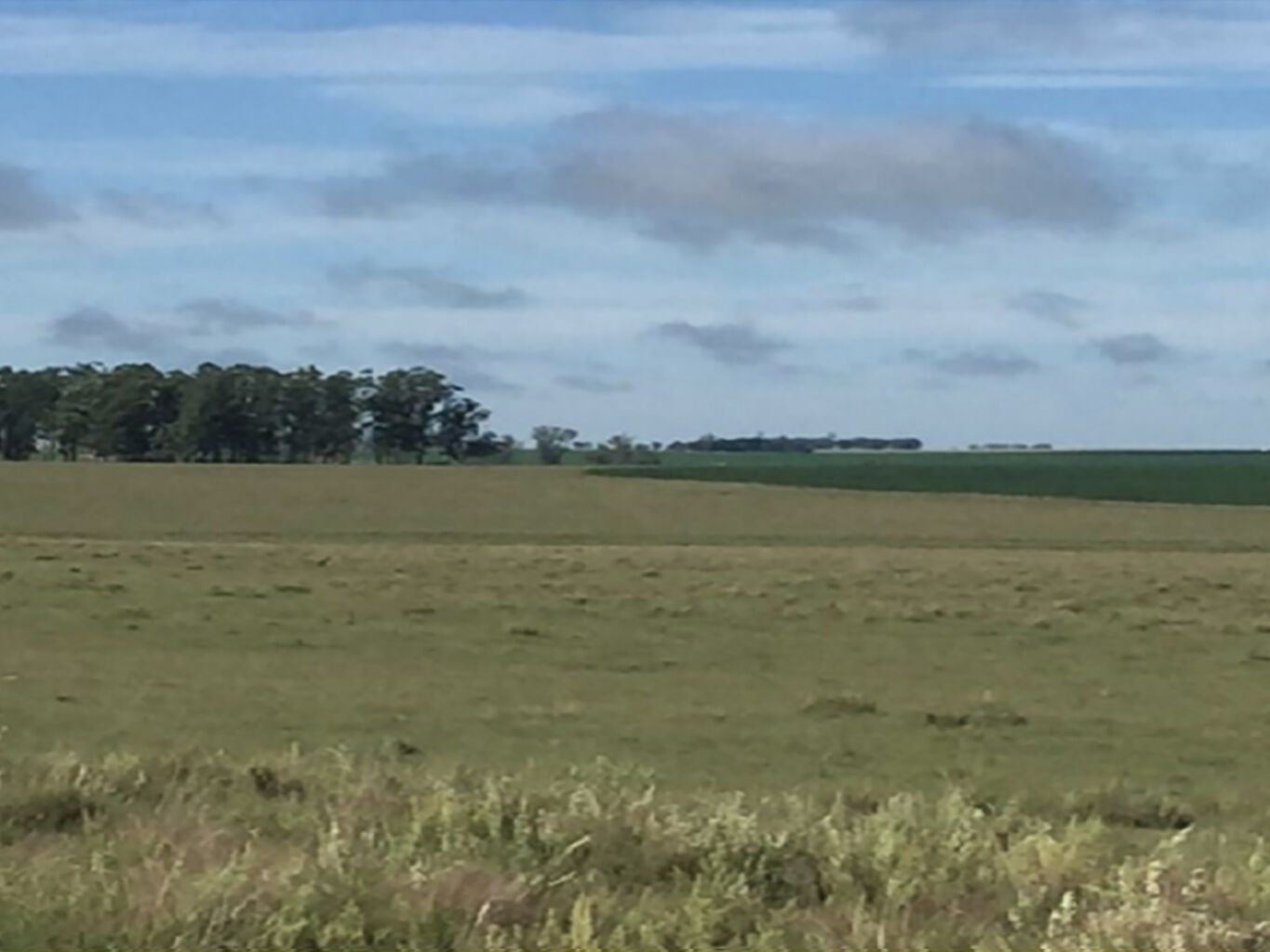 Campo en Salto — imagen 14