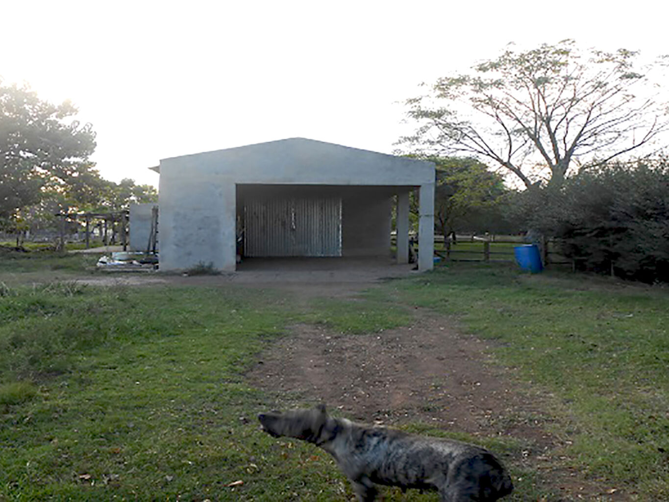 Campo en Salto — imagen 15
