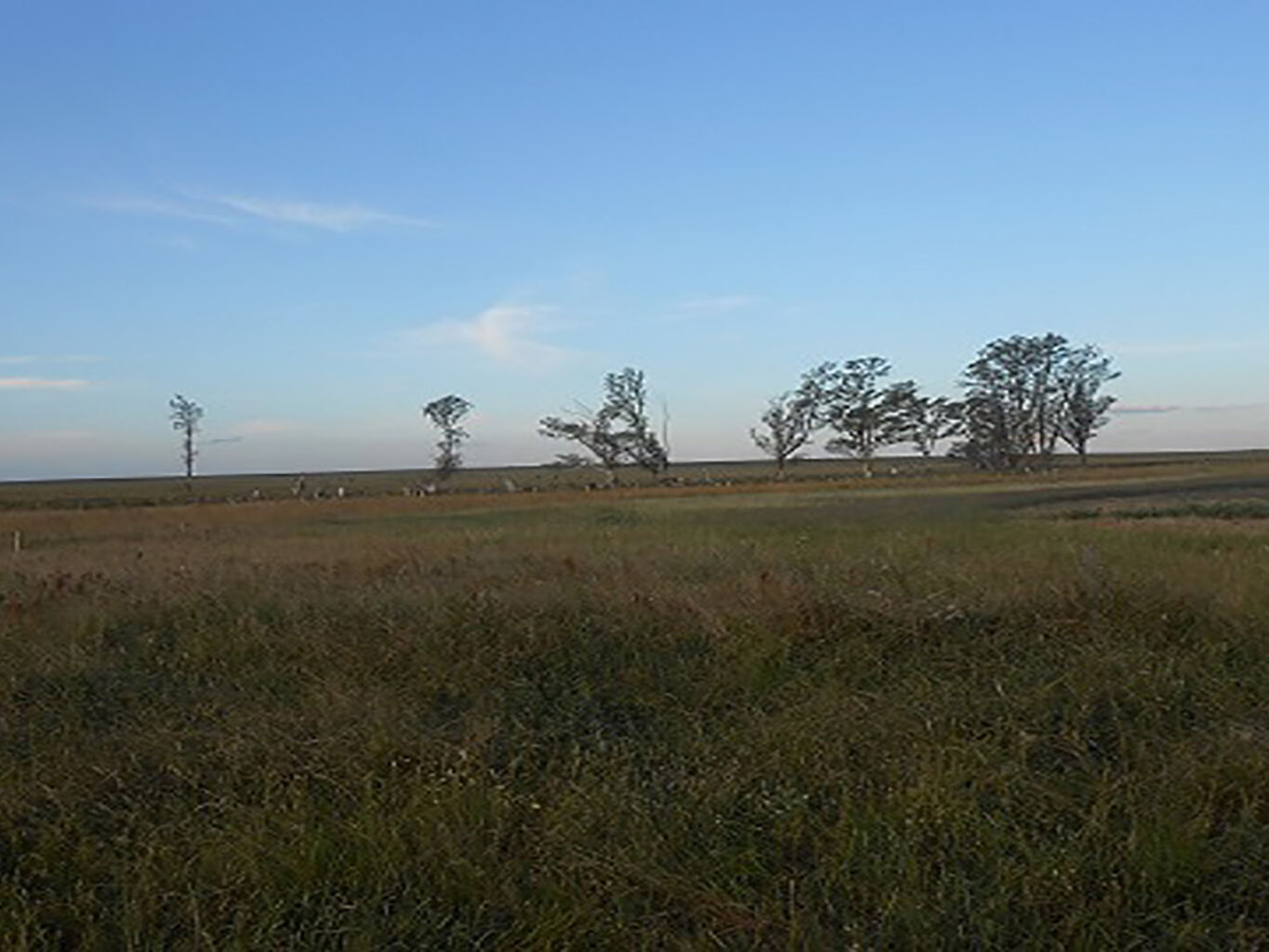 Campo en Salto — imagen 16