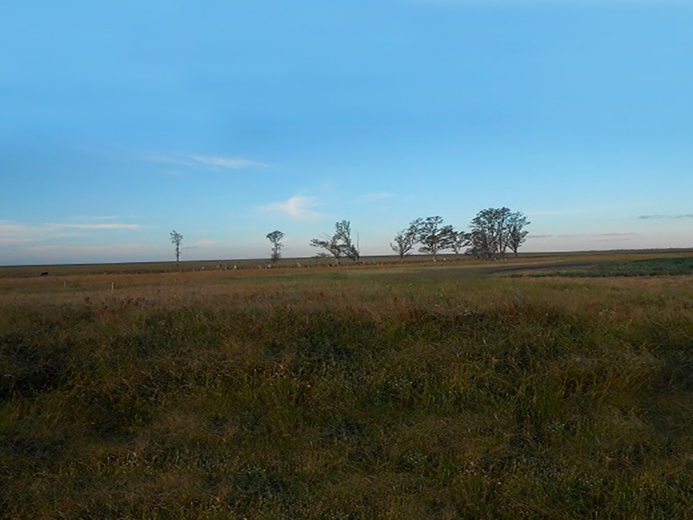 Campo en Salto — imagen 17