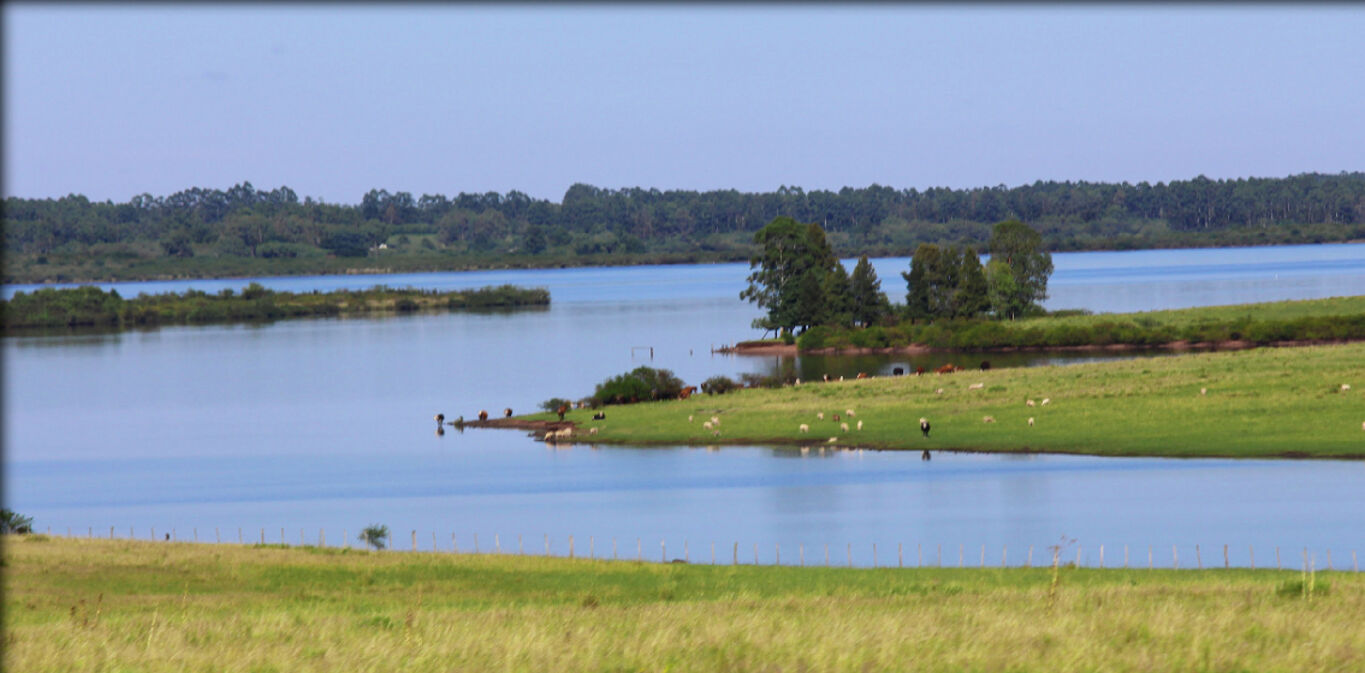 Campo en Salto