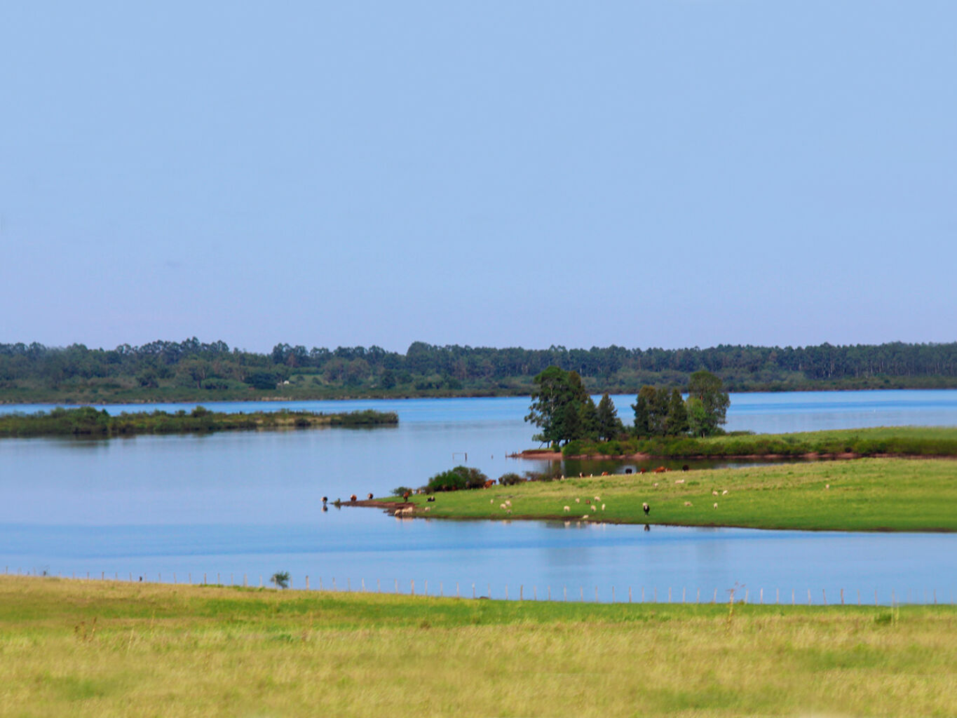 Campo en Salto — imagen 3