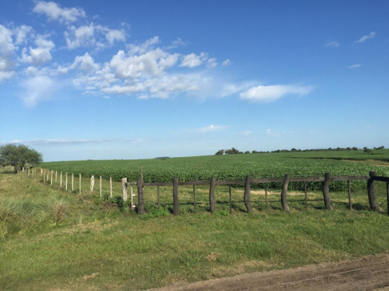 Campo en Paysandu — imagen 4