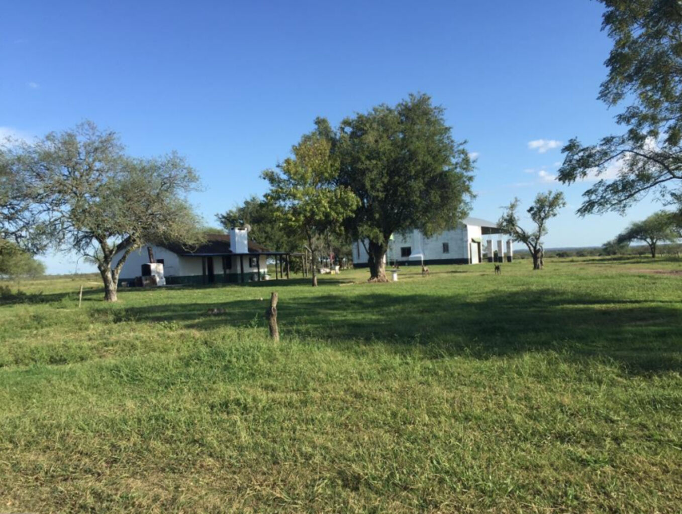 Campo en Paysandu — imagen 2