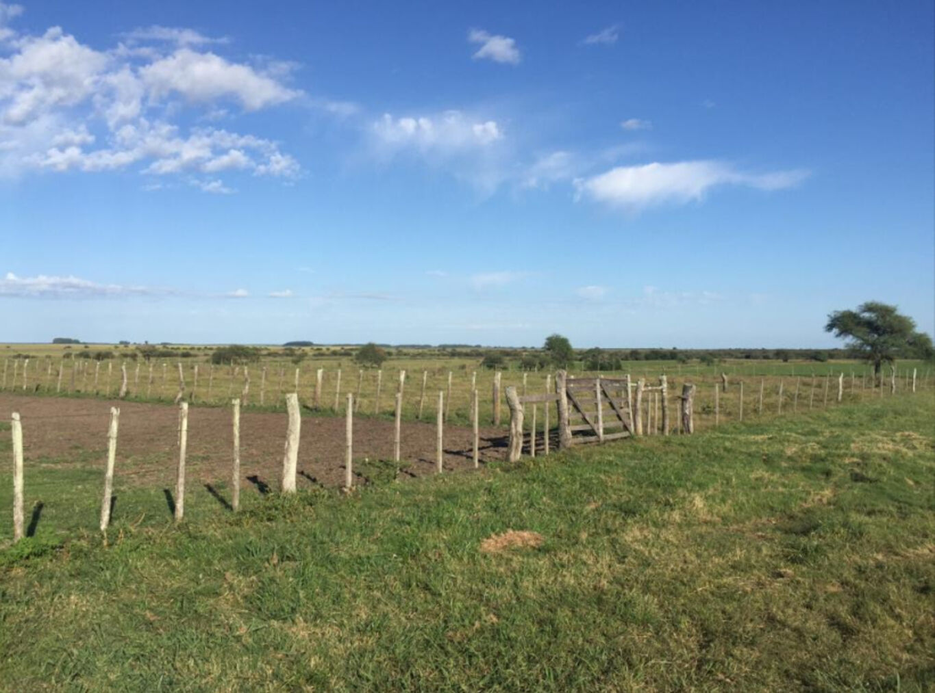 Campo en Paysandu — imagen 7