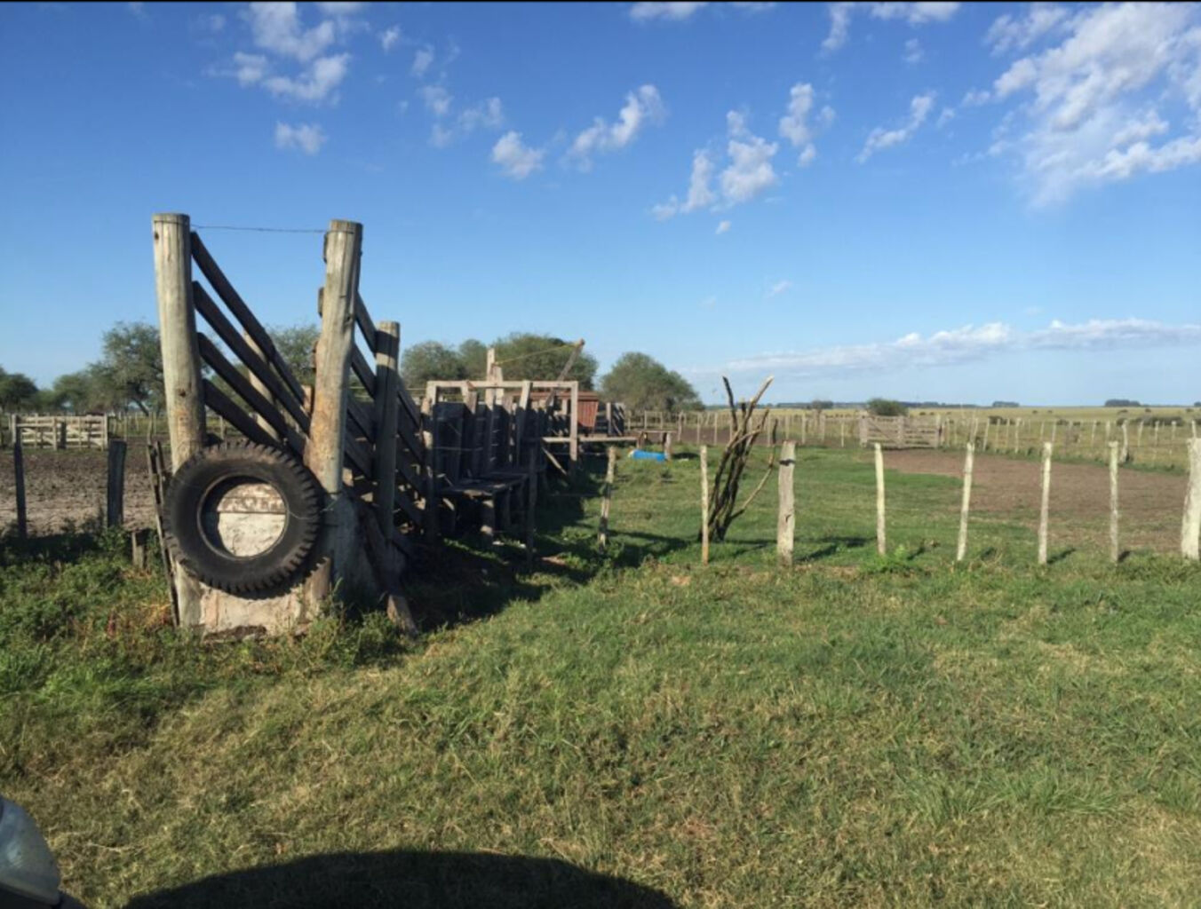 Campo en Paysandu — imagen 3