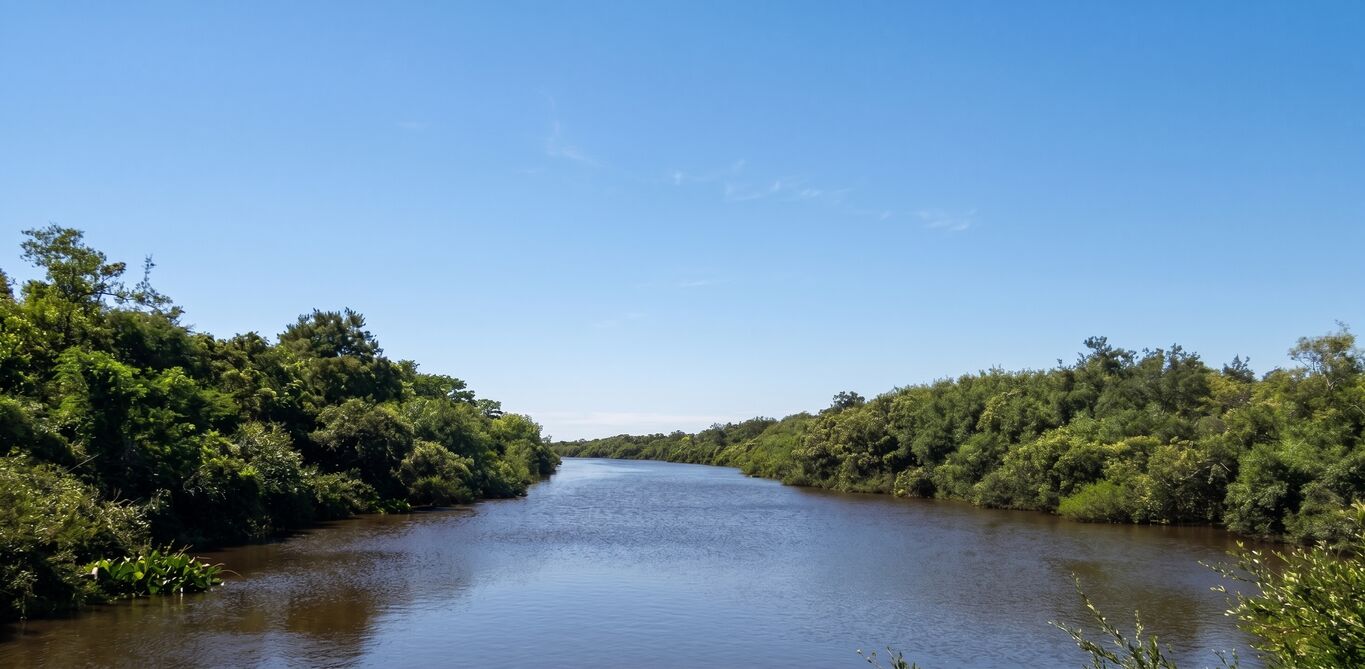 Campo Agrícola Ganadero en Paysandu
