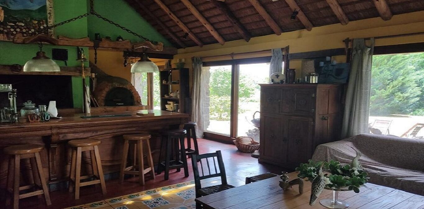 Chacra con Renta en Colonia — imagen 14