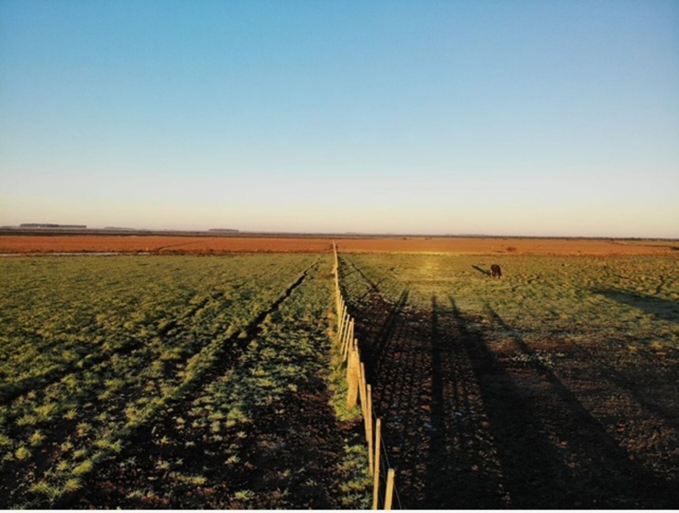 Venta Campo en Artigas, 2.448Ha Ganadero Agrícolas — imagen 2