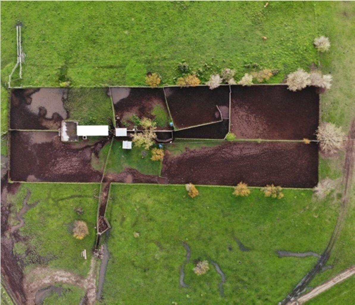 Venta Campo en Artigas, 2.448Ha Ganadero Agrícolas — imagen 6
