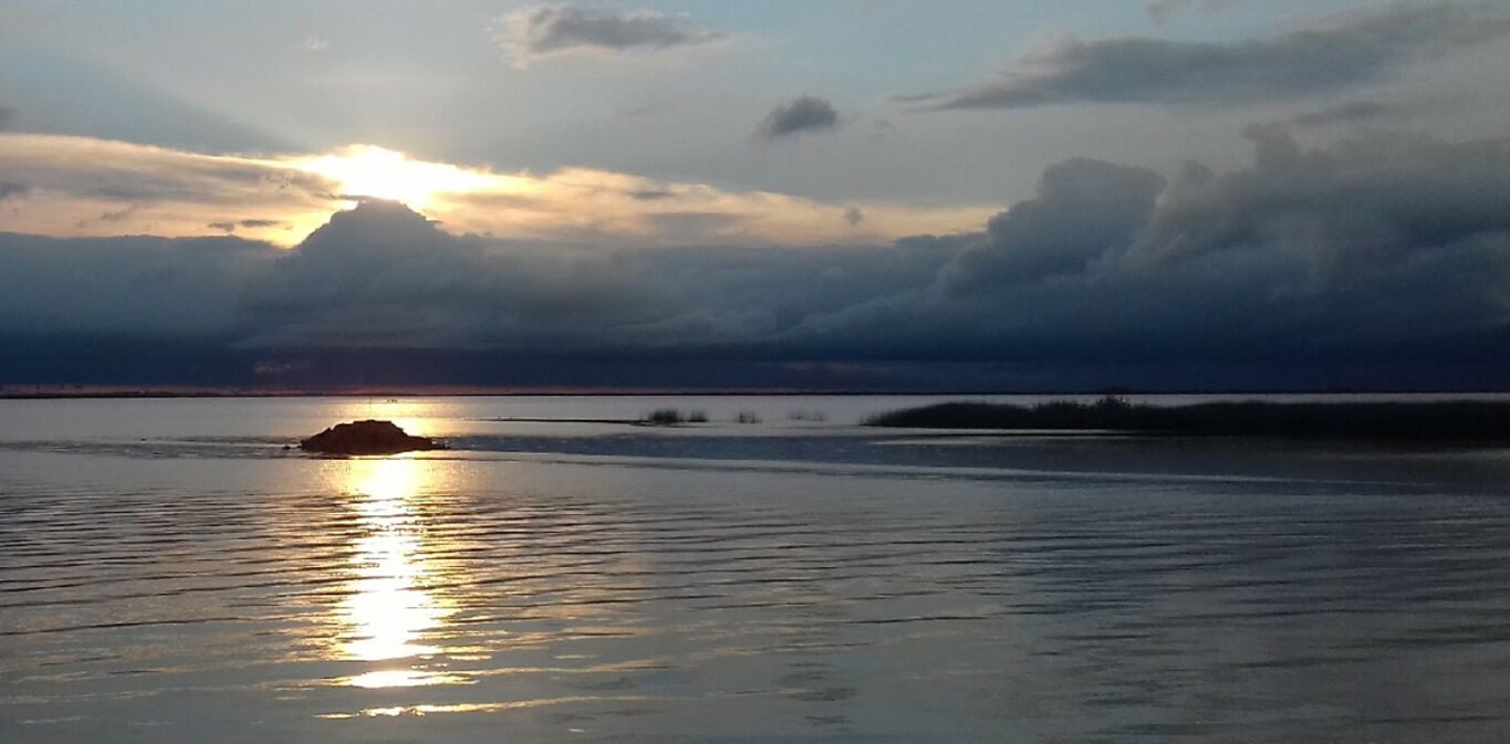 Chacra en Colonia