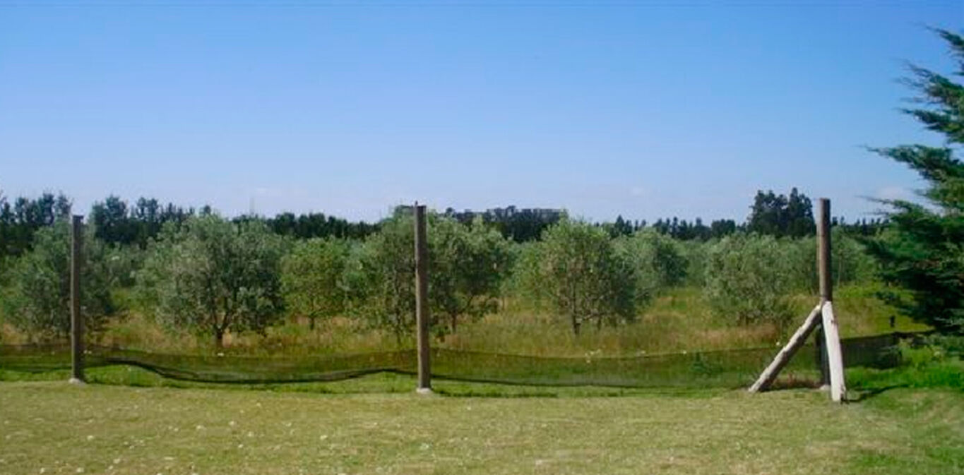 Chacra Turística en Colonia — imagen 6