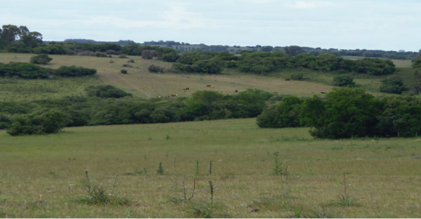 Campo Agrícola Ganadero en Paso Morlán