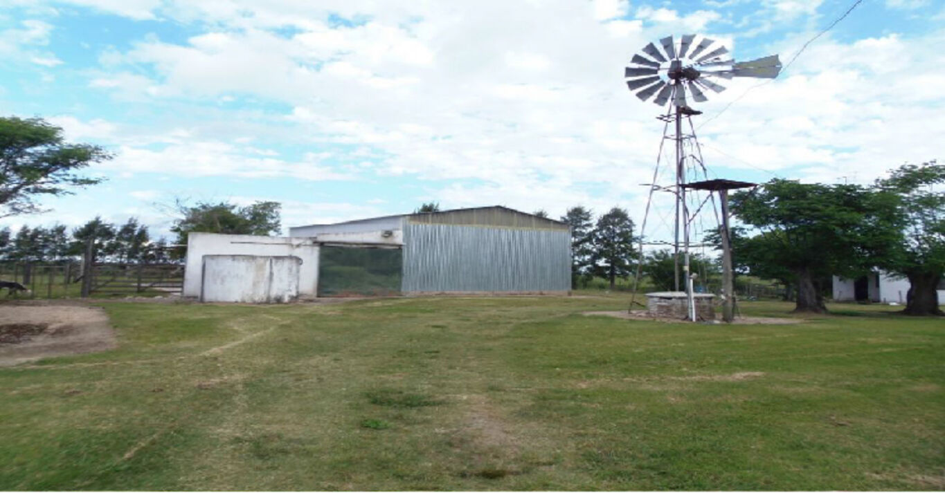 Campo Agrícola Ganadero en Paso Morlán — imagen 3