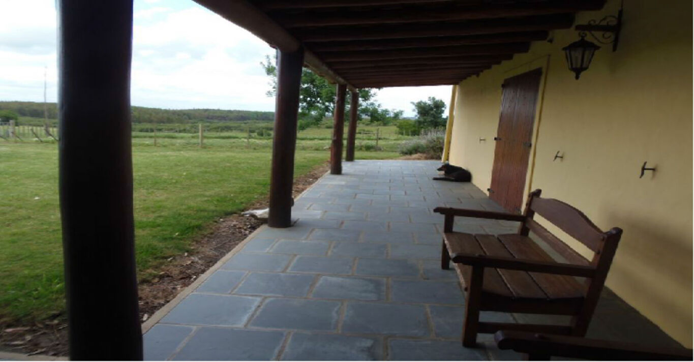Campo Agrícola Ganadero en Paso Morlán — imagen 4