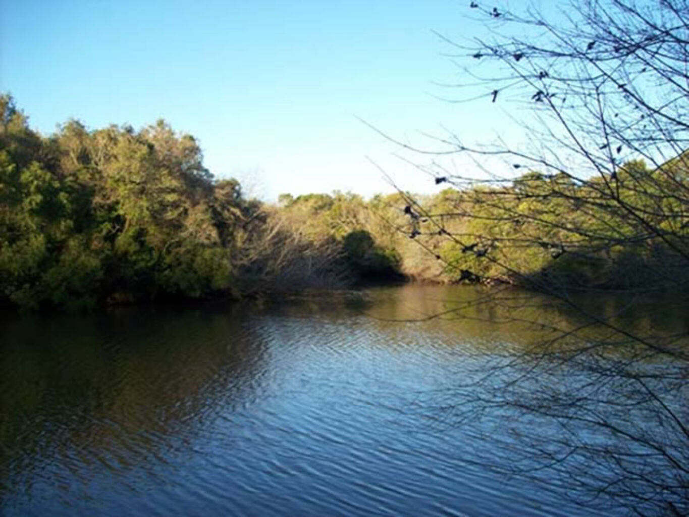 Campo en Colonia del Sacramento