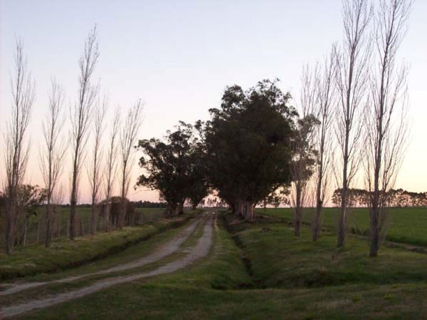 Campo en Colonia del Sacramento — imagen 4