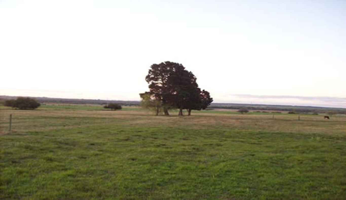 Campo en Colonia del Sacramento — imagen 6