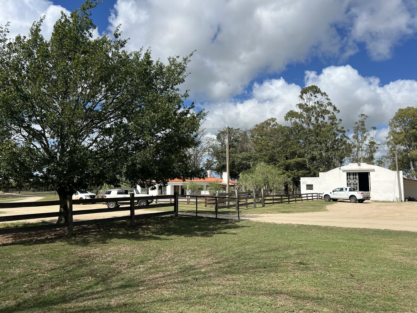 Campo en Flores — imagen 6