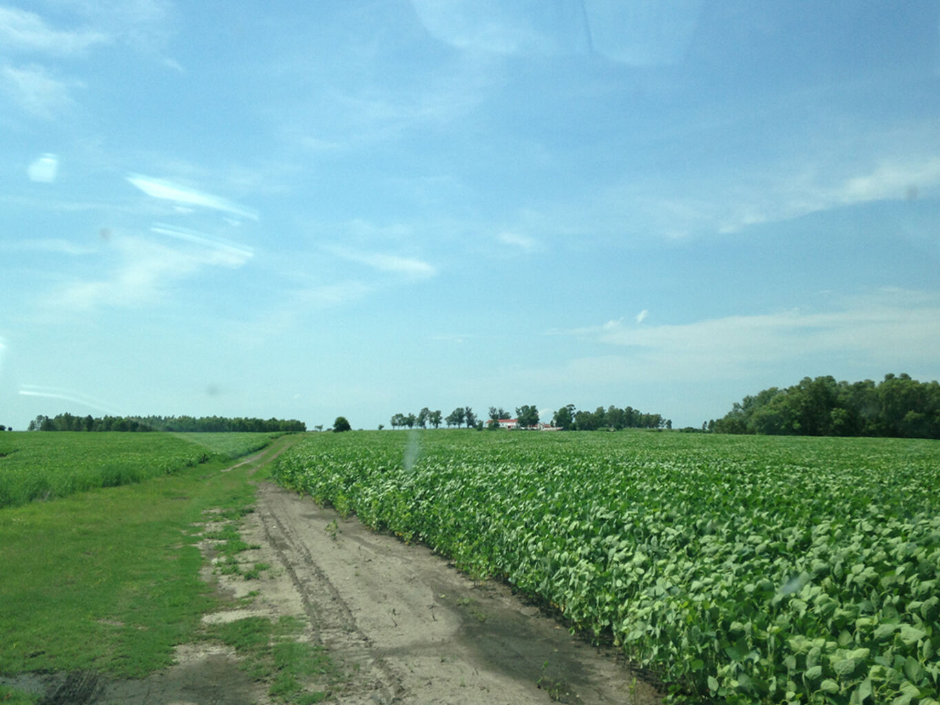 Campo en Florida — imagen 2