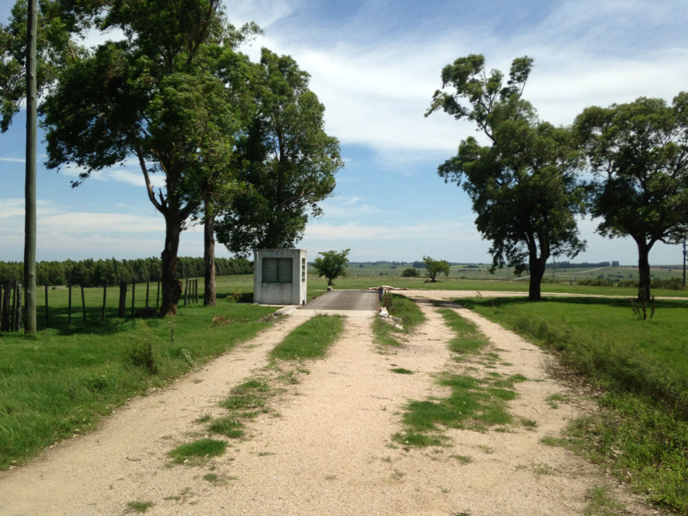 Campo en Florida — imagen 4