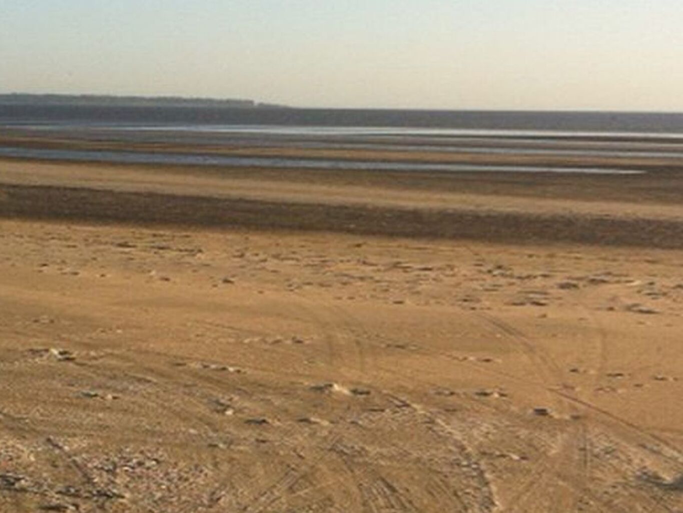 Campo en San José con Isla y Costa sobre El Rio de la Plata — imagen 3