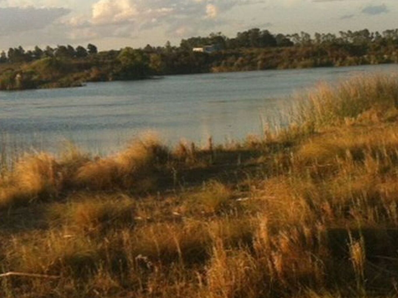 Campo en San José con Isla y Costa sobre El Rio de la Plata — imagen 5