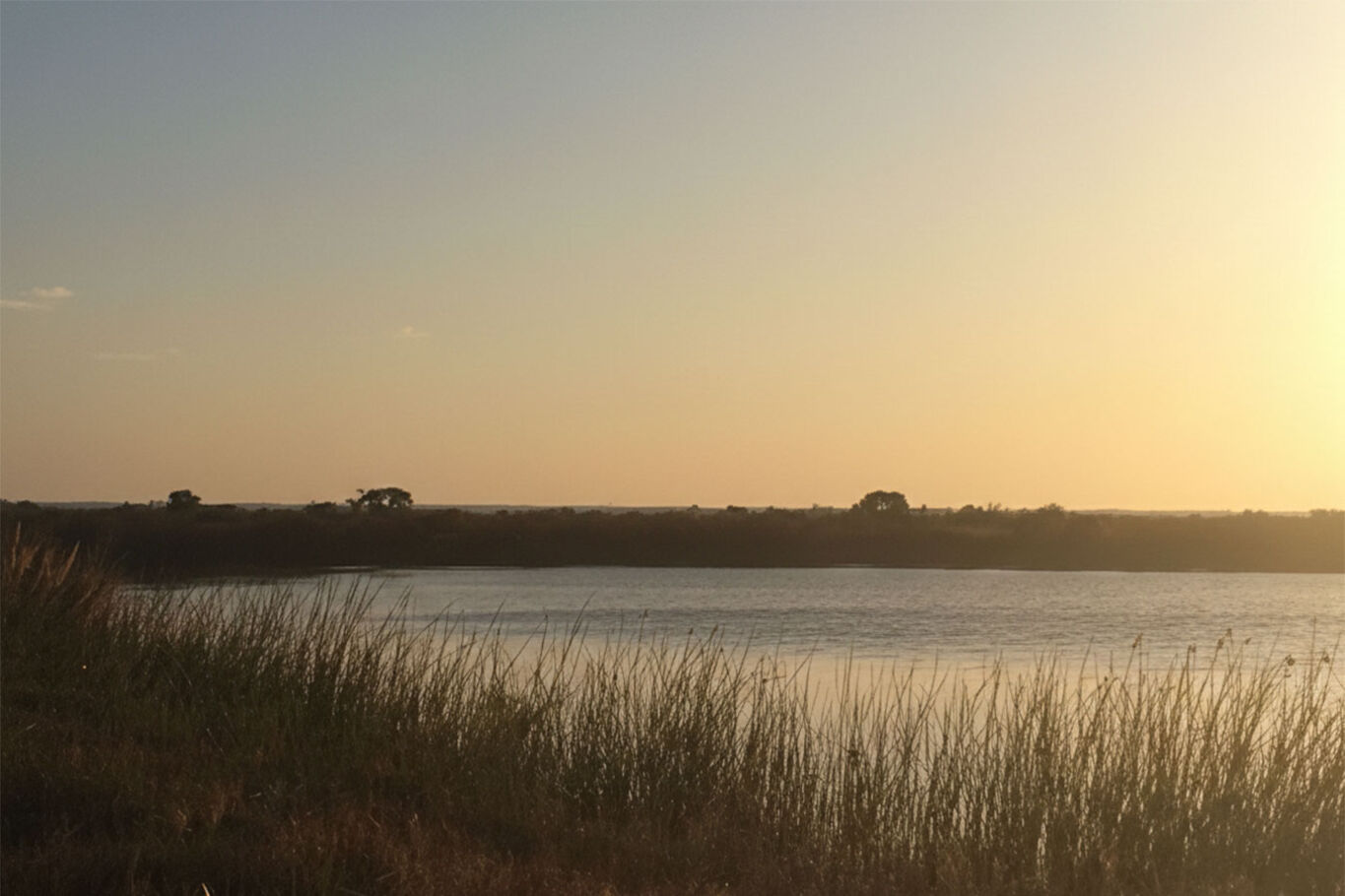 Campo en San José con Isla y Costa sobre El Rio de la Plata