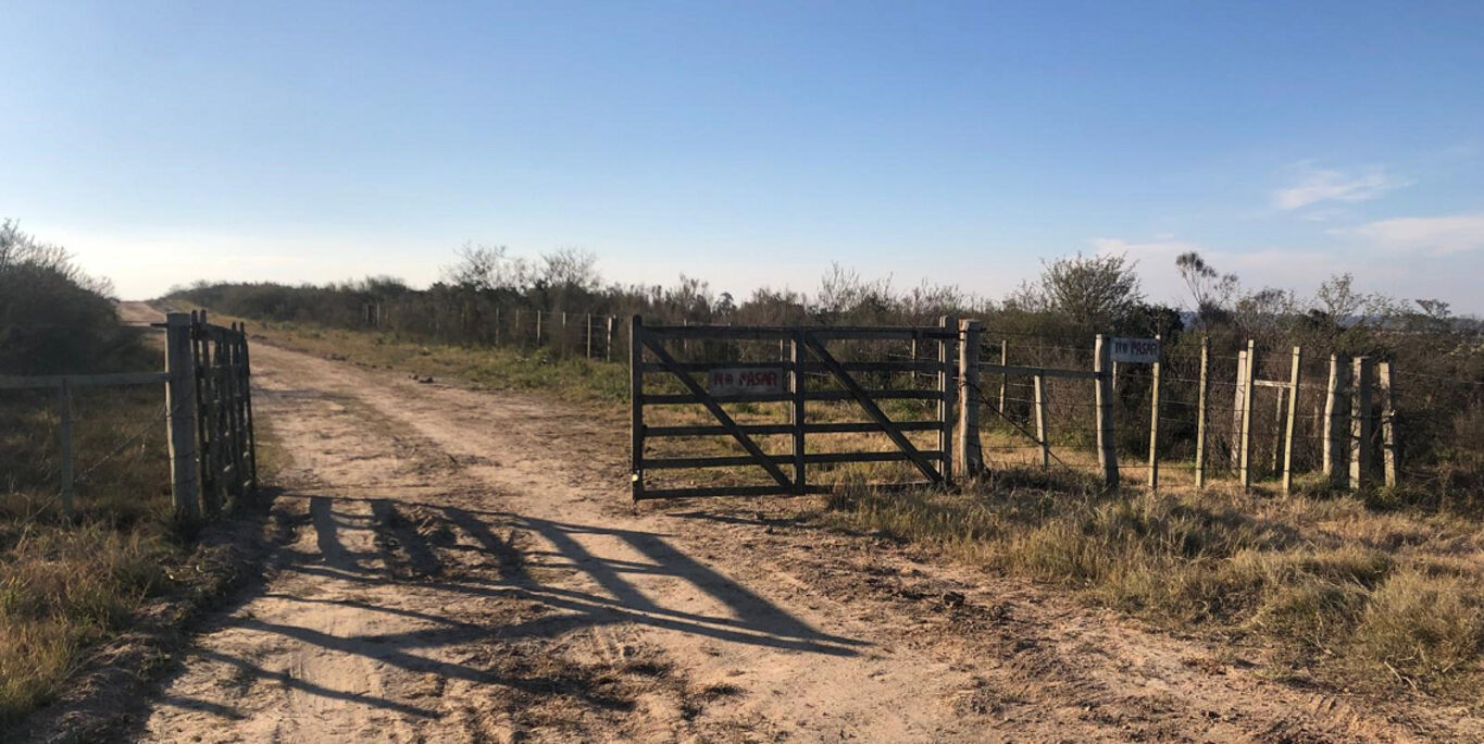 Campo en San José — imagen 3