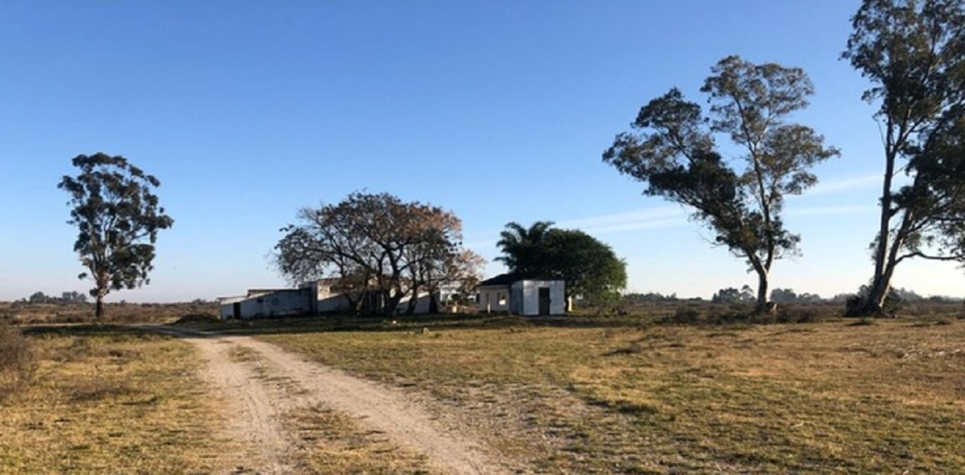 Campo en San José — imagen 4