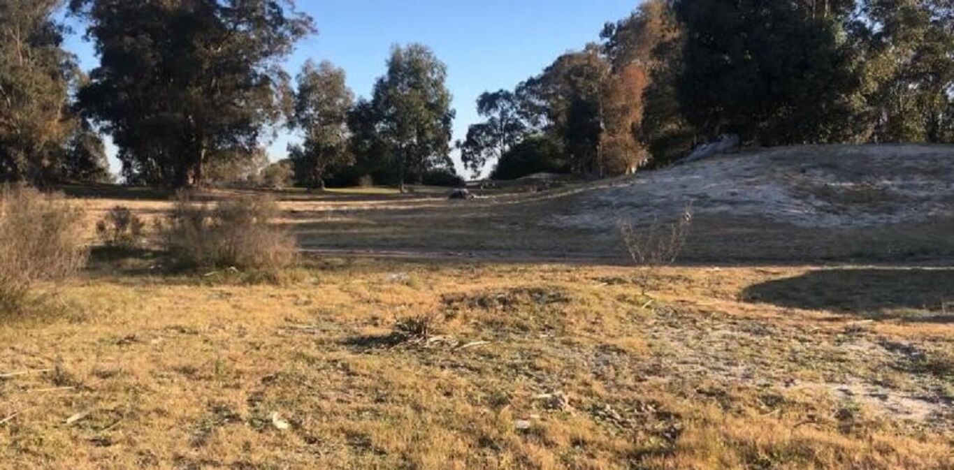 Campo en San José — imagen 5