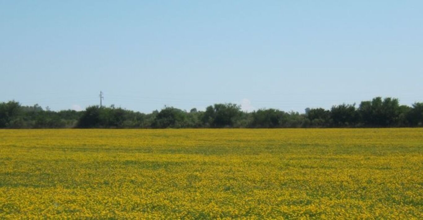 Potrero Agrícola "Don José"
