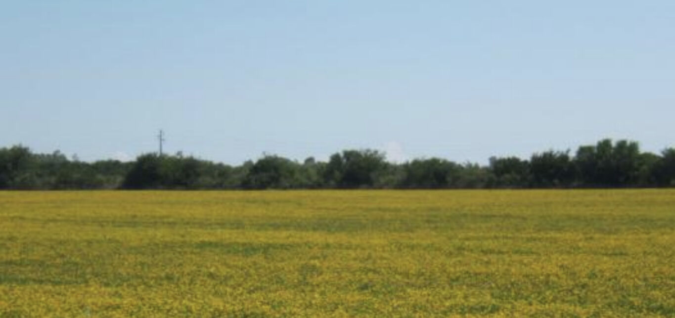 Potrero Agrícola "Don José" — imagen 2