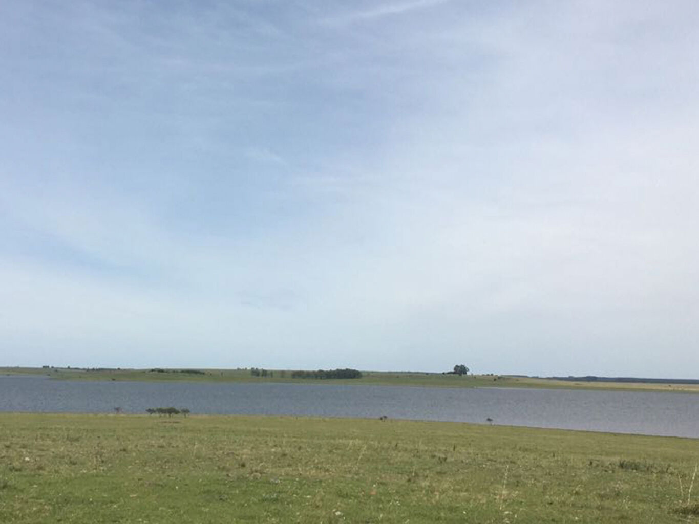 Campo en Rio Negro — imagen 2