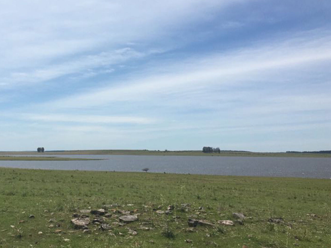 Campo en Rio Negro — imagen 3