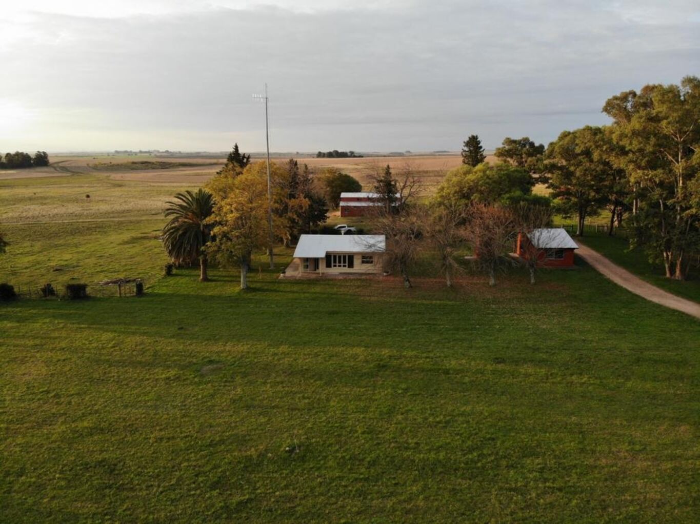 Campo en Rio Negro — imagen 6