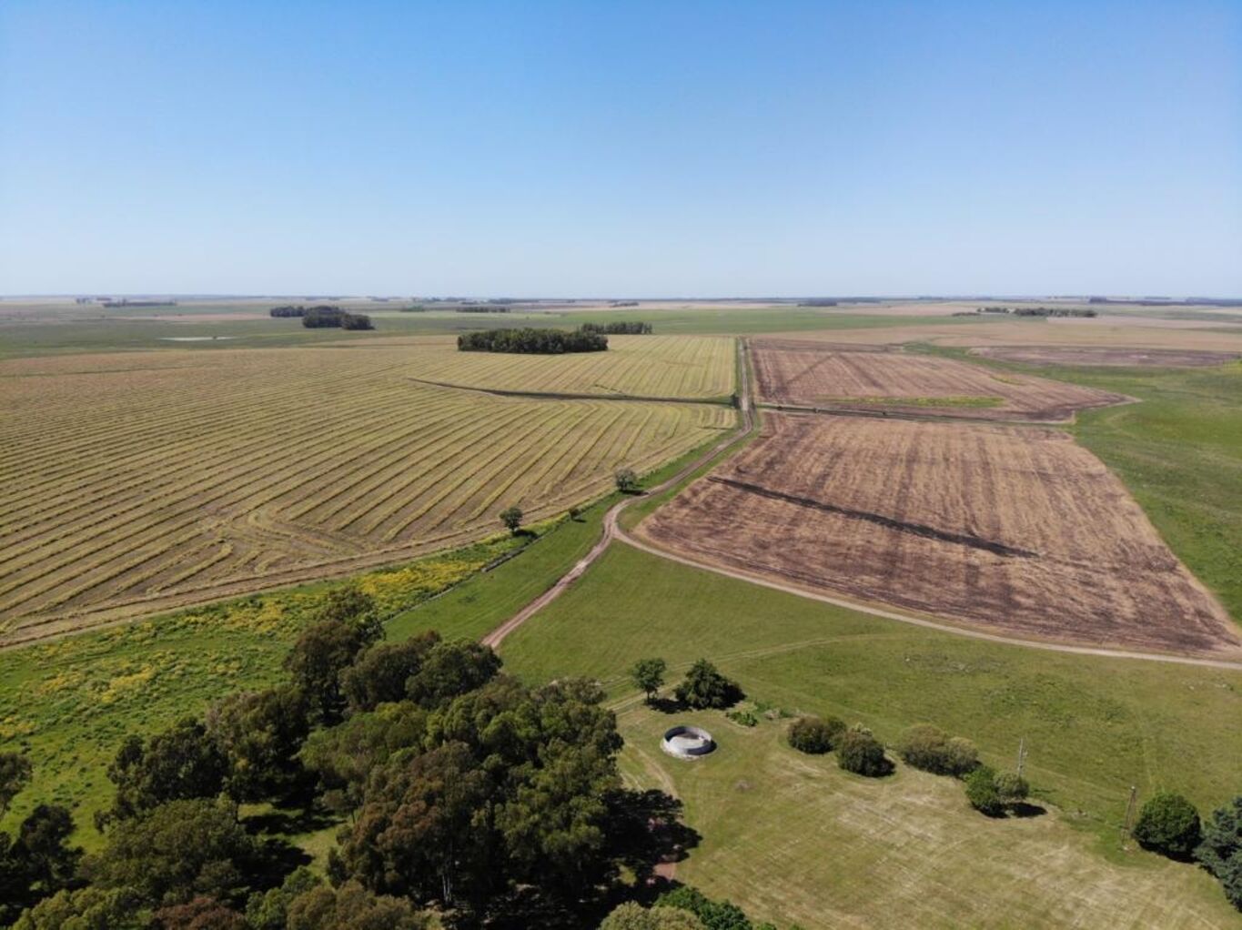 Campo en Rio Negro — imagen 2