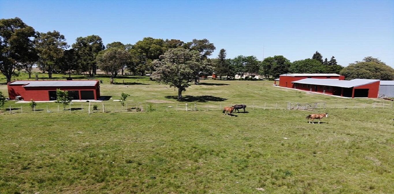 Campo en Rio Negro — imagen 7