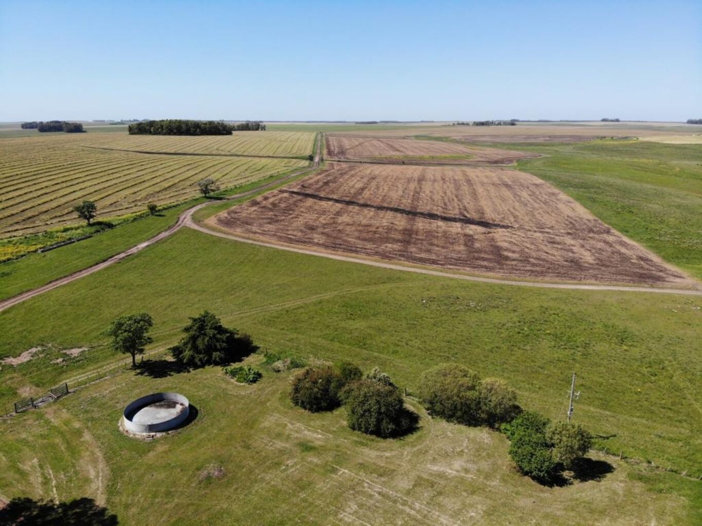 Campo en Rio Negro — imagen 5