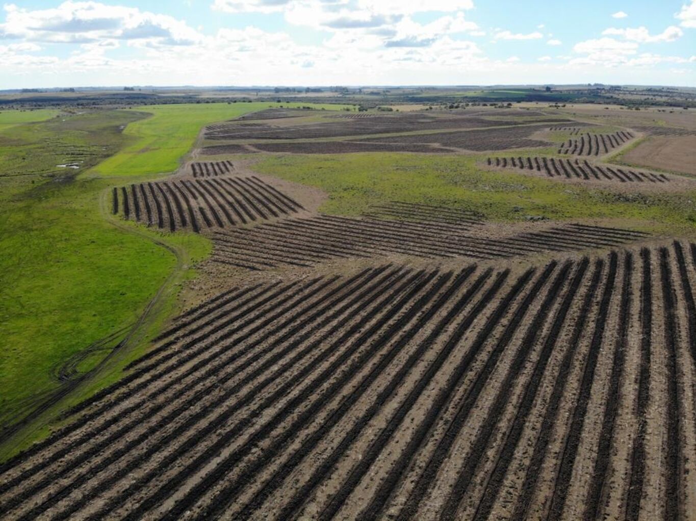 Campo en Rio Negro — imagen 3