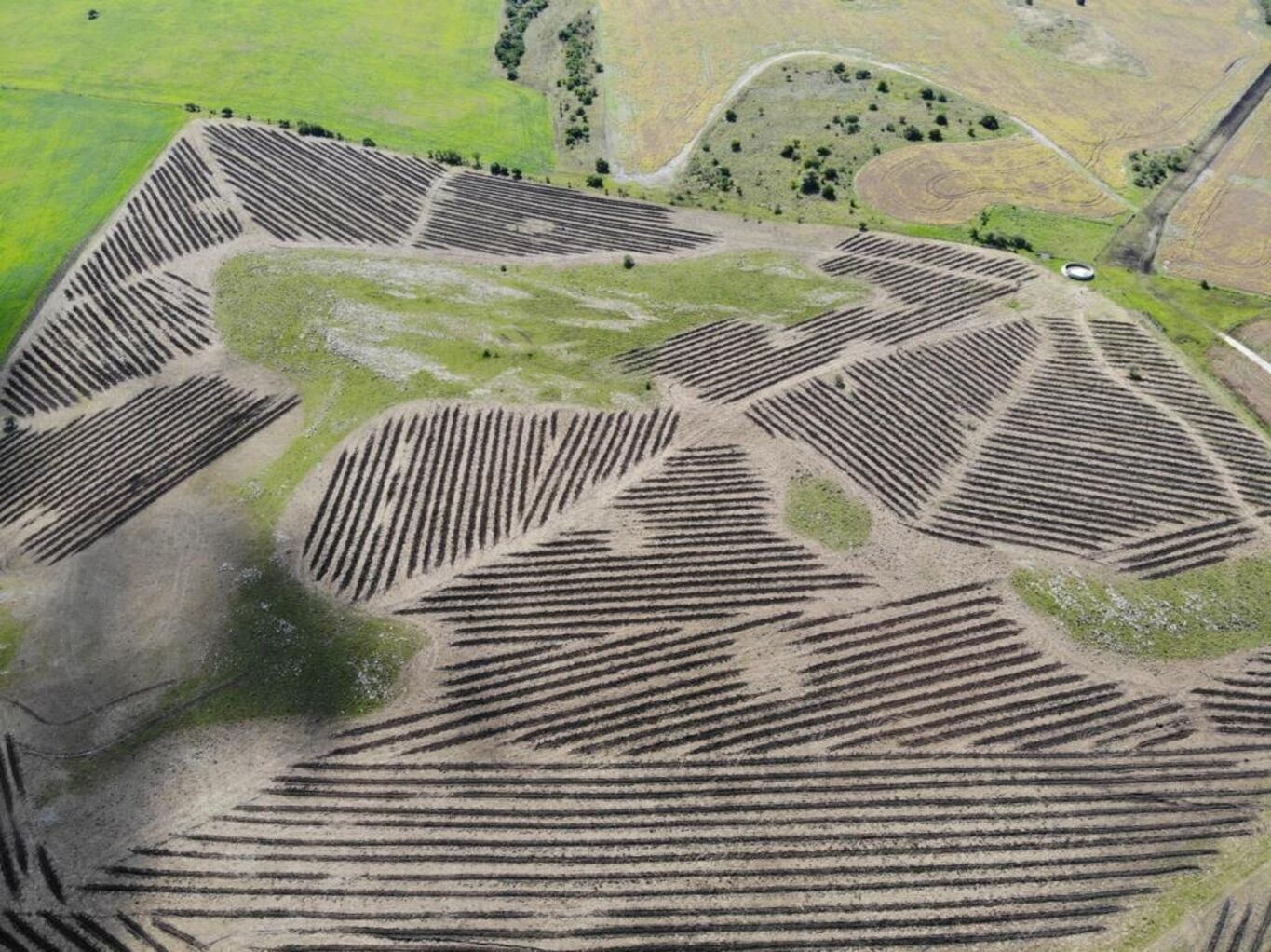 Campo en Rio Negro — imagen 14