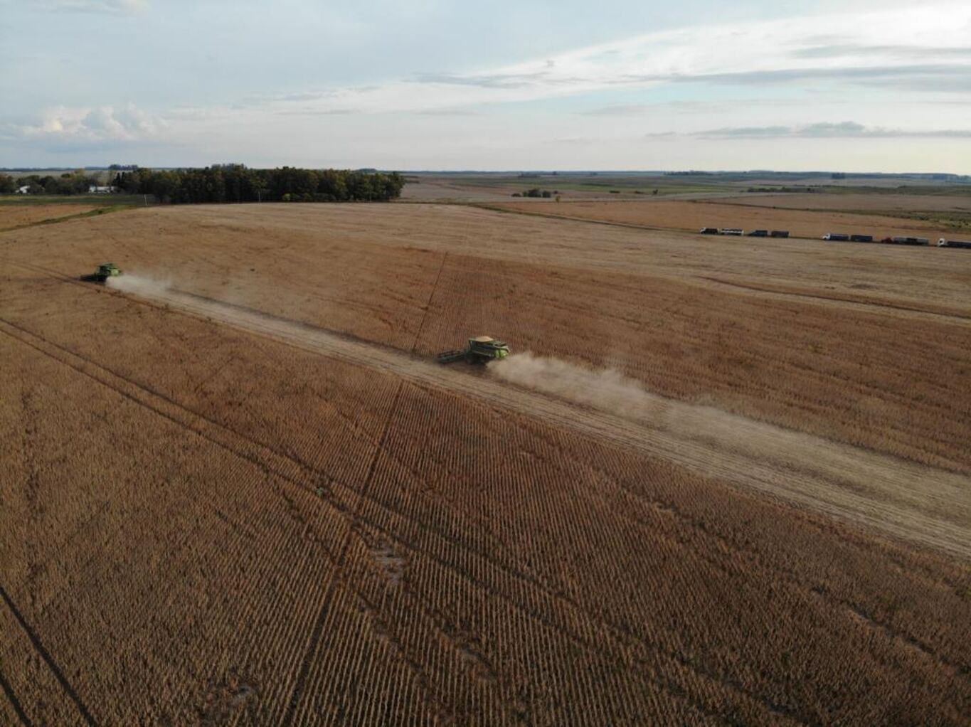 Campo en Rio Negro — imagen 13