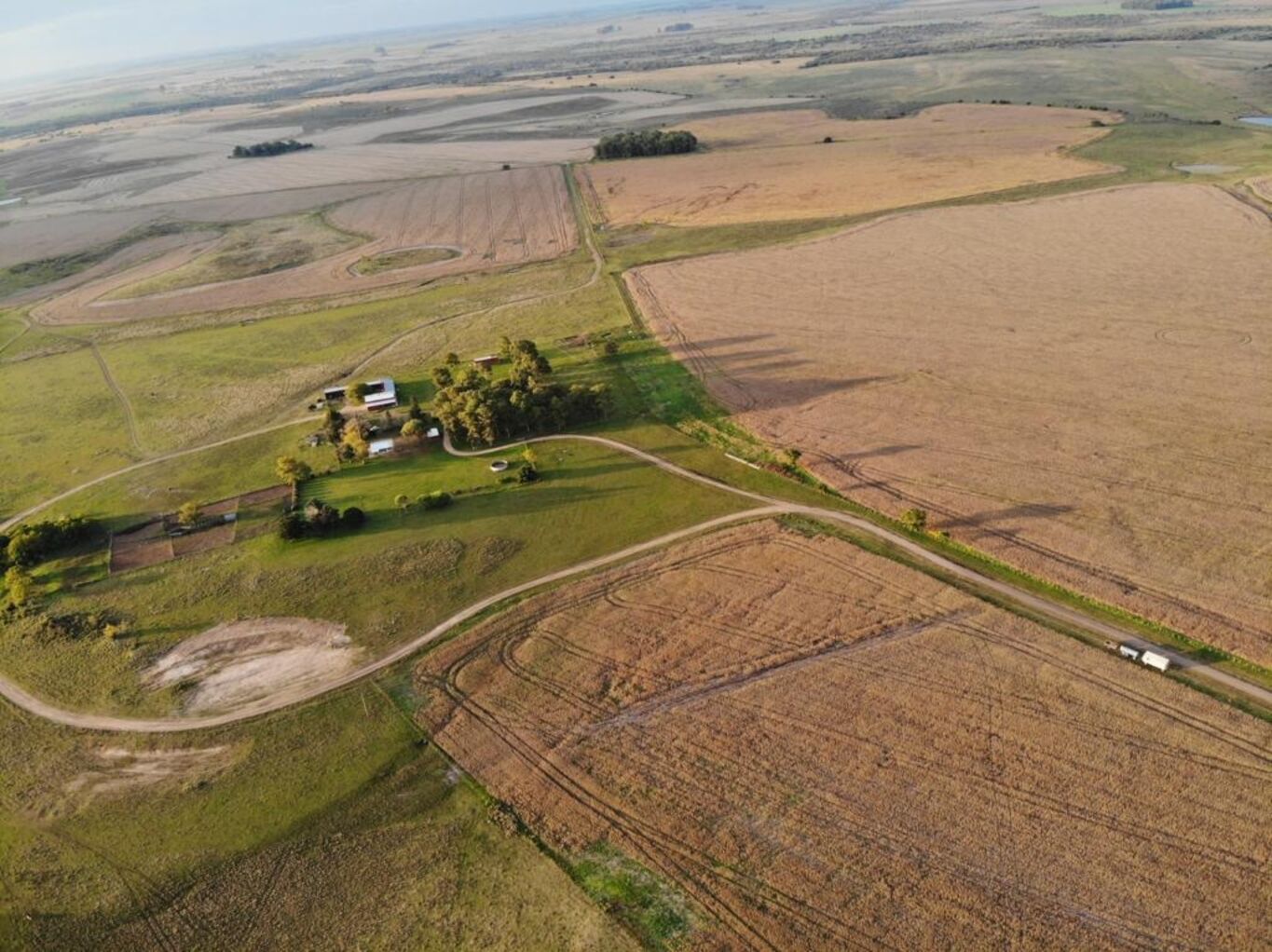 Campo en Rio Negro — imagen 4